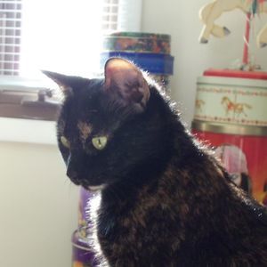 Meet your Posher, Nicole